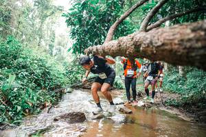 BIB: 
                            <button type="button" onclick="openModal(25375856)" class="btn btn-primary btn-sm float-right btn-popup" data-toggle="modal" data-target=".modal-high-quality">
                        <i class="fas fa-shopping-cart"></i> Add to Cart
                    </button>
                                            <button type="button" onclick="isThisMe(25375856, true)" class="btn btn-success btn-sm float-right btn-popup btn-isme hidden" data-toggle="tooltip" data-placement="bottom" title="นี่คือรูปของคุณใช่ไหม คลิกที่นี่เพื่อเอาเข้าอัลบั้ม">
                        <i class="fas fa-plus"></i> Add to album
                    </button>
                    <button type="button" onclick="isThisMe(25375856, false)" class="btn btn-warning btn-sm float-right btn-popup btn-isnotme hidden">
                        <i class="fas fa-ban"></i> Remove from album
                    </button>